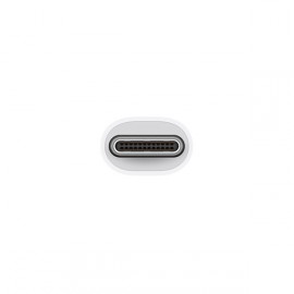 Переходник Apple USB-C to USB Adapter (MJ1M2ZM/A)