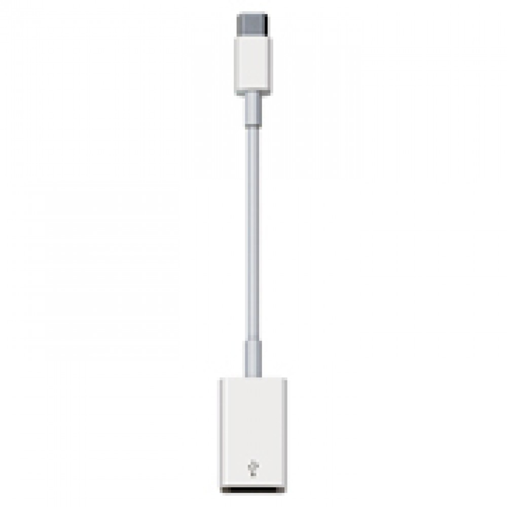 Переходник Apple USB-C to USB Adapter (MJ1M2ZM/A)