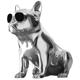 Беспроводная акустика AeroSystem AeroBull XS1 Chrome Silver (ML-06020-01-03) 