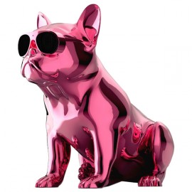 Беспроводная акустика AeroSystem AeroBull XS1 Chrome Pink (ML-06020-04-03) 