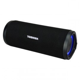 Беспроводная акустика Toshiba TY-WSP102 