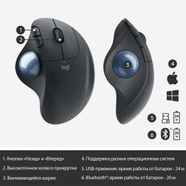 Мышь беспроводная Logitech M575 (910-005872)