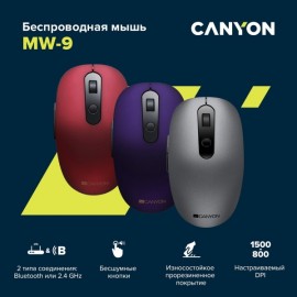 Мышь беспроводная Canyon CNS-CMSW09DG