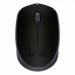 Мышь беспроводная Logitech M171 Black/Grey