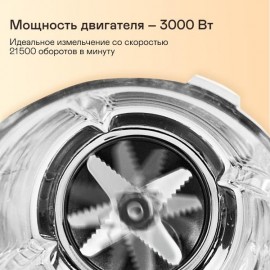 Блендер стационарный Garlyn X-2000