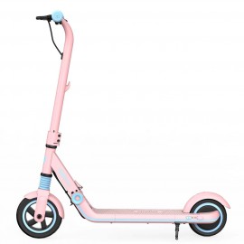 Электрический самокат Ninebot by Segway eKickScooter Zing E8 Pink 