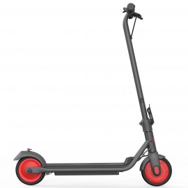 Электрический самокат Ninebot KickScooter C20