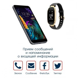 Фитнес трекер BandRate Smart BRSS33GB