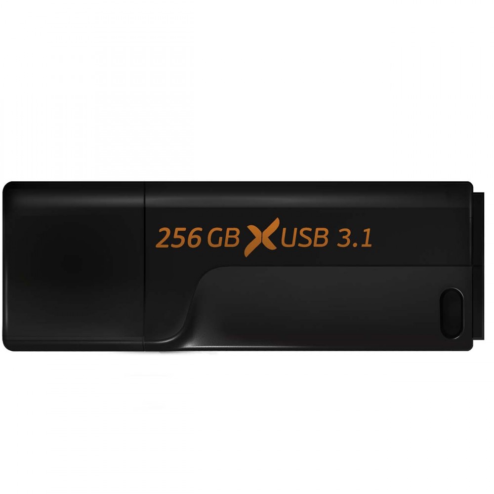 Флеш-диск Flexis 256GB USB3.1 черный (FUB30256RBK-110)