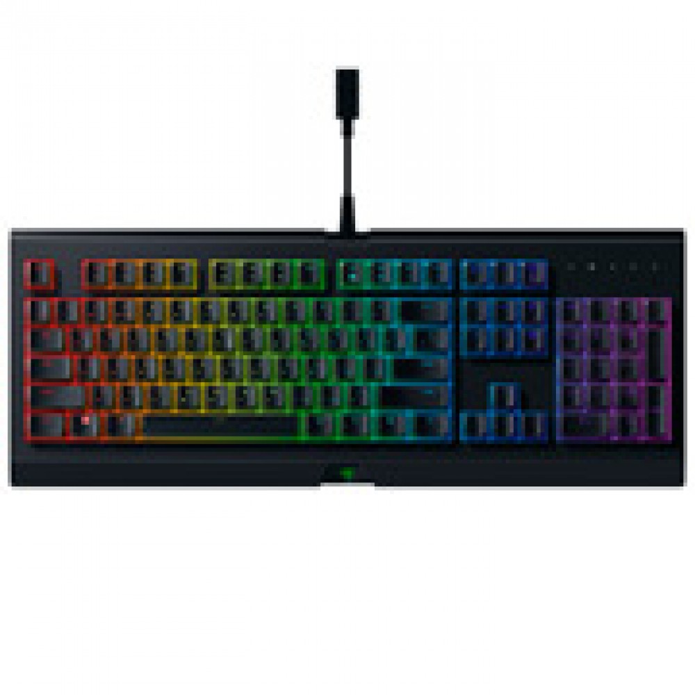 Игровая клавиатура Razer Cynosa Chroma (RZ03-02260800-R3R1)