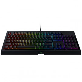 Игровая клавиатура Razer Cynosa Chroma (RZ03-02260800-R3R1)