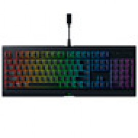 Игровая клавиатура Razer Cynosa Chroma (RZ03-02260800-R3R1)