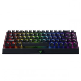 Игровая клавиатура Razer BlackWidow V3 Mini (RZ03-03890700-R3R1)