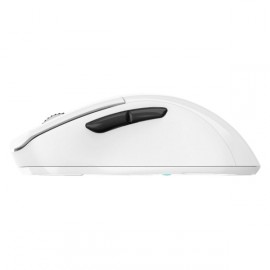 Игровая мышь Dareu A918X White