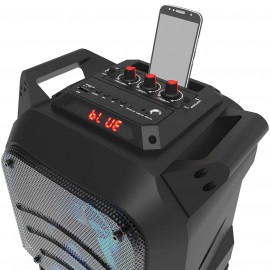 Магнитола Ritmix SP-850B Black