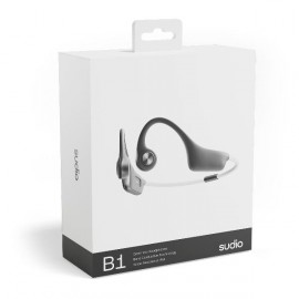 Наушники Bluetooth Sudio B1 (B1BLK)