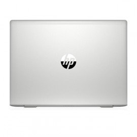 Ноутбук для бизнеса HP ProBook 445 G7 1F3K8EA