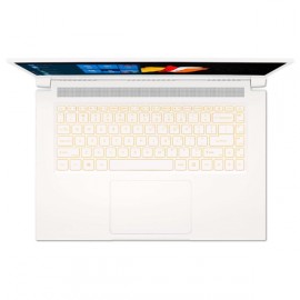 Ноутбук Acer ConceptD 3 CN315-72-746N NX.C5WER.002