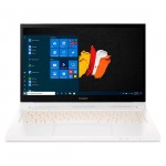 Ноутбук-трансформер Acer ConceptD 3 CC314-72-56JF NX.C5GER.001