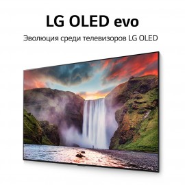 Телевизор LG OLED55G1RLA