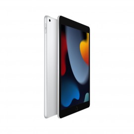 Планшет Apple iPad 10.2 Wi-Fi 64GB Silver (MK2L3RU/A)