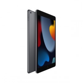 Планшет Apple iPad 10.2 Wi-Fi 256GB Space Grey (MK2N3)