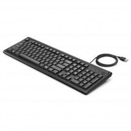 Клавиатура проводная HP Keyboard 100 Russ (2UN30AA#ACB) 