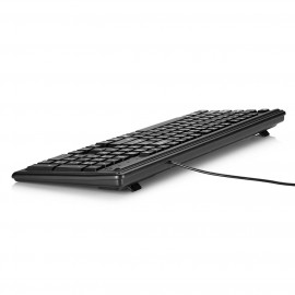 Клавиатура проводная HP Keyboard 100 Russ (2UN30AA#ACB)