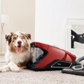 Пылесос с контейнером для пыли Miele SKCR3 Blizzard CX1 Cat & Dog PowerLine