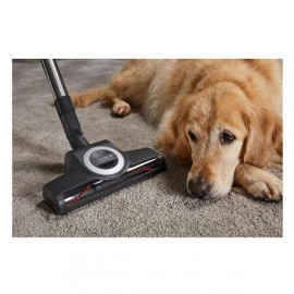 Пылесос с пылесборником Miele COMPLETE C3 FLEX CAT DOG Red