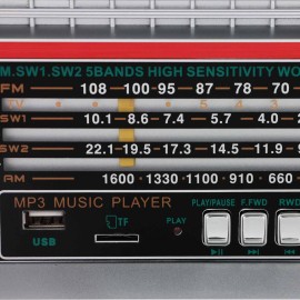 Радиоприемник Ritmix RPR-102 Black