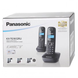 Телефон DECT Panasonic KX-TG1612RUH