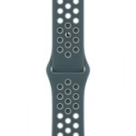 Ремешок Apple 40mm Hasta/Light Silver Nike Sport Band Regular