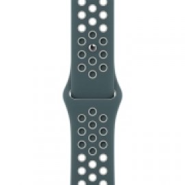 Ремешок Apple 40mm Hasta/Light Silver Nike Sport Band Regular