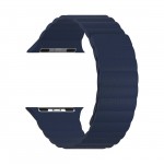 Ремешок LYAMBDA Apple Watch 42/44mm POLLUX DSP-24-44-DB Dark Blue