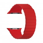 Ремешок LYAMBDA Apple Watch 42/44mm POLLUX DSP-24-44-RD Red