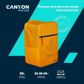 Рюкзак для ноутбука Canyon CNS-CSZ03YW01