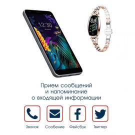 Смарт-часы BandRate Smart BRSH88GS