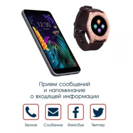 Смарт-часы BandRate Smart SBRSZ33GBR