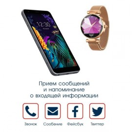 Смарт-часы BandRate Smart BRSB8080GG