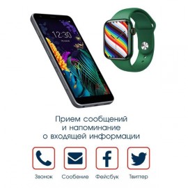 Смарт-часы BandRate Smart BRSHW19GNGN