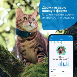 Трекер для кошек Tractive TRNJA4 GPS CAT 4 LTE