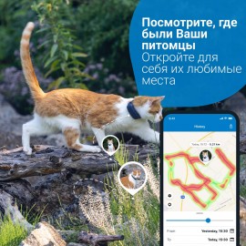 Трекер для кошек Tractive TRNJA4 GPS CAT 4 LTE