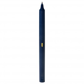 Умная ручка Neolab Neo SmartPen M1 Blue (NWP-F50N) 