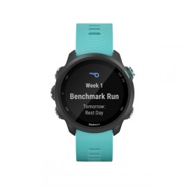 Спортивные часы Garmin Forerunner 245 Music GPS Black/Aqua