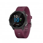 Спортивные часы Garmin Forerunner 245 GPS Black/Merlot