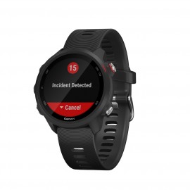 Спортивные часы Garmin Forerunner 245 Music GPS Black/Red