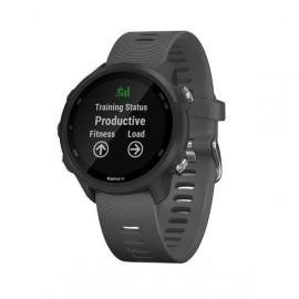 Спортивные часы Garmin Forerunner 245 SLATE GRAY 010-02120-10 