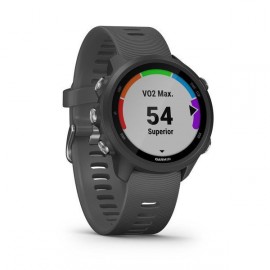 Спортивные часы Garmin Forerunner 245 SLATE GRAY 010-02120-10