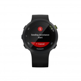 Спортивные часы Garmin Forerunner 45 GPS L Black 
